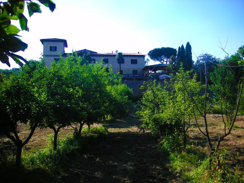 Villa Il Puccetto Figline Valdarno Esterno foto